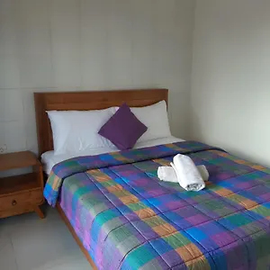  Проживание в семье Patra House